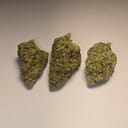 Alien OG (PREMIUM)