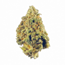 Platinum Champagne (Top Shelf)