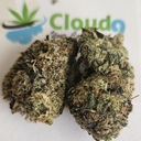 Cherry Gas -A+ Exotic