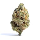Apple Sundae ( Top shelf )