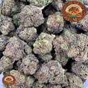 WI-FI OG (AAA)