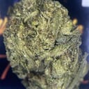 TOPSHELF- TRAP FUEL
