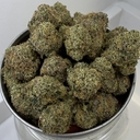 Bed Rock | Greendawg Cultivators