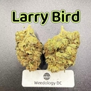 Larry Bird