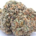 BLIZZFUL WIZARD (TOPSHELF)