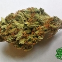 Jack the Ripper (Top-Shelf)