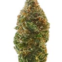 Madman OG