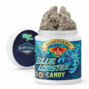 Blue Lobster Candy-(Designer)