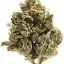 LA Confidential INDICA (EXOTIC)