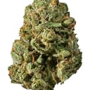 Blue Mystic (EXOTIC)