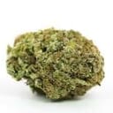 Granddaddy Purple (PREMIUM)