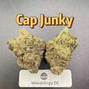 Cap Junky---Exotics