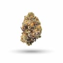 Purple Punch (EXOTIC A+)