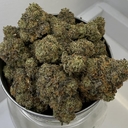 White Taffi | Greendawg Cultivators