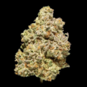 Off White Gelato - Top Shelf