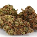 Girl Scout Cookies