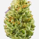 Strawberry Cough (A+)