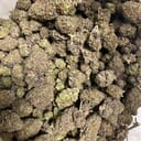 JET Fuel Gelato(EXOTIC)