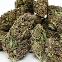 Purple OG (Hi-Life Specials)