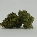 Tangerine Kush