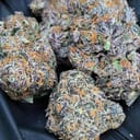 Bacio Gelato ðÂÂÂ(exotic)