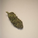 Lemon Jack (PREMIUM)