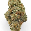 Grape Ape Indica Strain | Premium Top Shelf Cannabis