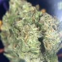 TOPSHELF - CANDY FUMES