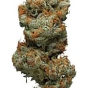 Grapefruit (Exotic)