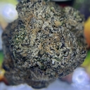 DESIGNER - WATERMELON BOMB POP