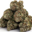 OG Kush (exotic)
