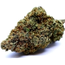 Alaska Thunder Fuck (AAA indoor)