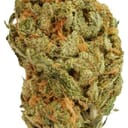 Santa Cruz OG ( Premium )