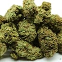Jack Herer