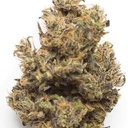 black Mamba (TOP SHELF)