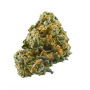 Sherbet Mint DESIGNER