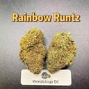 Rainbow Run