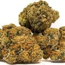 Mother Gorilla Sativa (Top-Shelf)