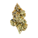Buddha Haze