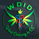 Dark Rainbow ---- (HYBRID) TOP SHELF