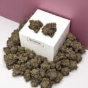 Black Pearl-Premium
