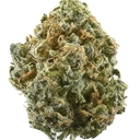 BLUE DREAM (AAA INDOOR)