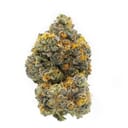 Cheetah Piss (Exotics)