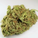 JUNGLE CAKE - 5 GRAMS