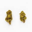 GARY PAYTON - 5 GRAMS