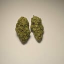 Strawberry Cough (PREMIUM)