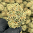 Alien OG (Hybrid)