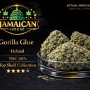 Gorilla glue TS
