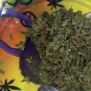 PREMIUM GRAPE STOMPER