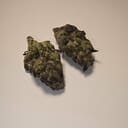 Alaskan Thunder Fuck (PREMIUM)